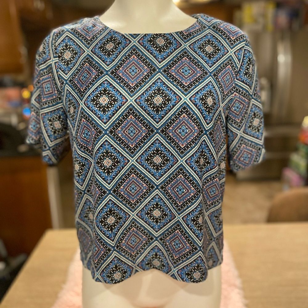 Blue blouse 